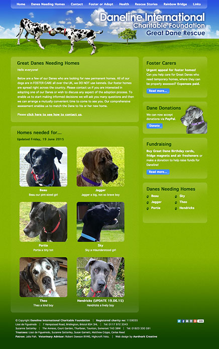 Responsive website for Daneline International Charitable Foundation